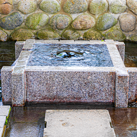 八幡神社「大垣の湧水」
