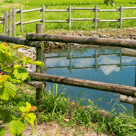 北方町がま広場