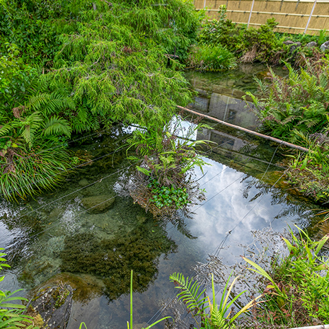 西之川ハリヨの池広場