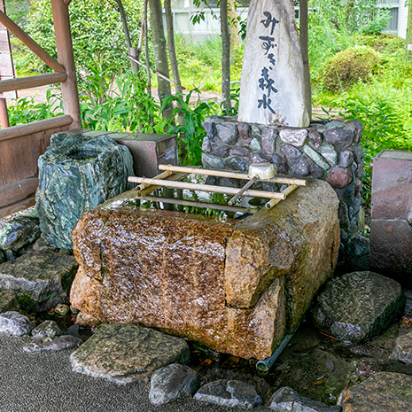 大垣女子短期大学「みずき森水」